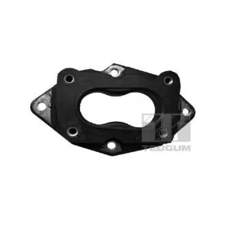 Flasque, carburateur TEDGUM 00050304