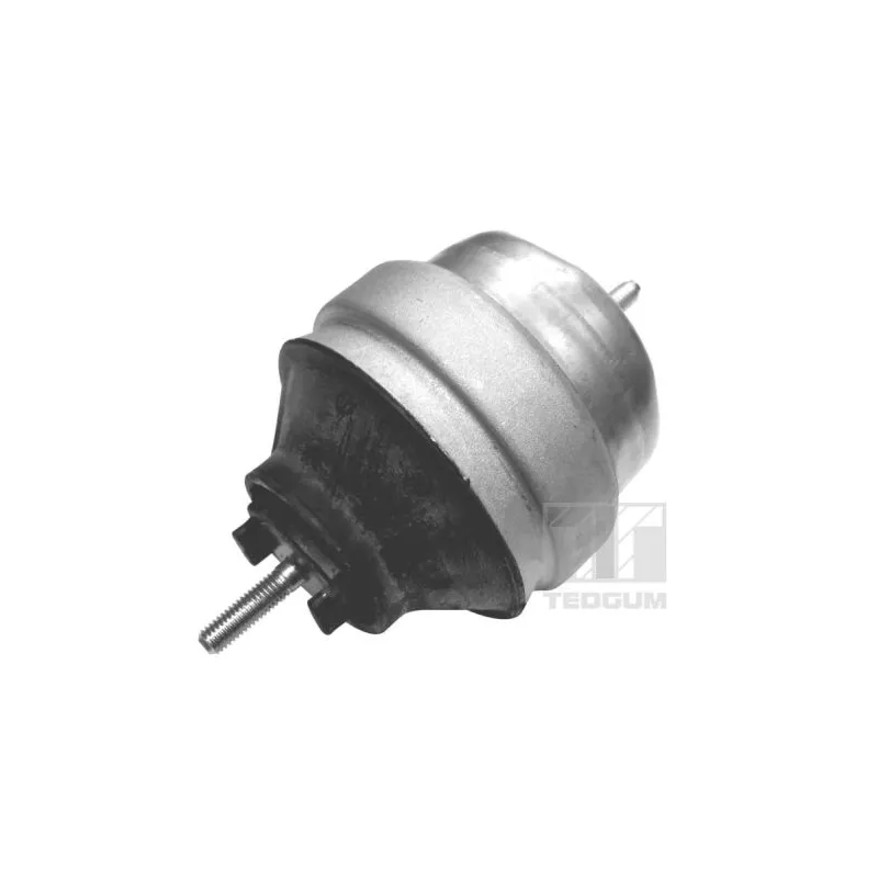 Support moteur avant gauche TEDGUM 00056418
