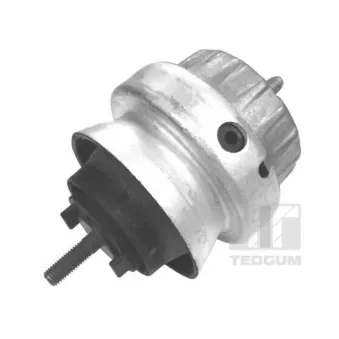 Support moteur avant droit TEDGUM 00056444