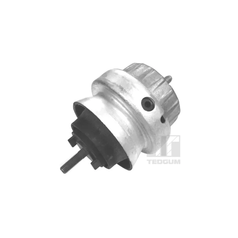 Support moteur avant droit TEDGUM 00056444