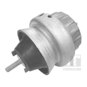 Support moteur avant droit TEDGUM 00056451