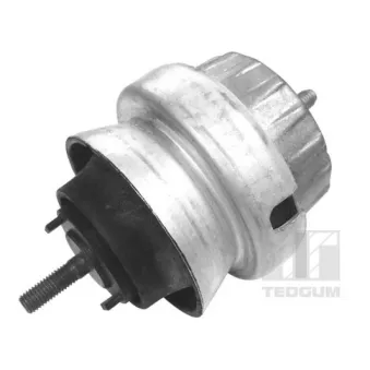 Support moteur avant gauche TEDGUM 00056452