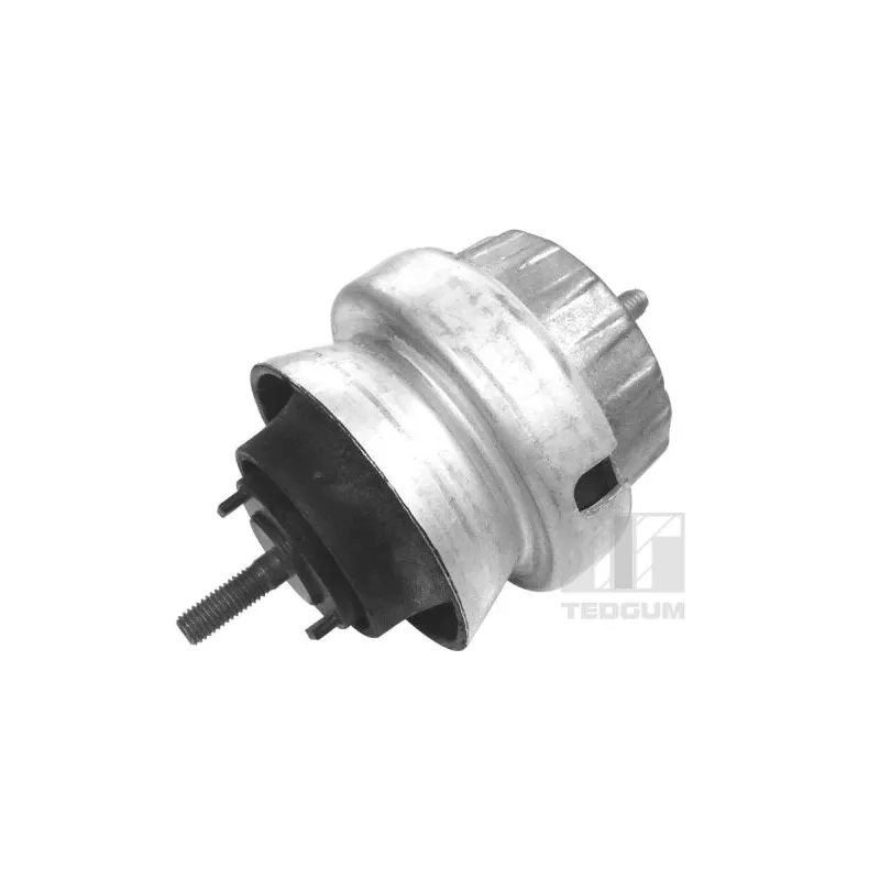 Support moteur avant gauche TEDGUM 00056452
