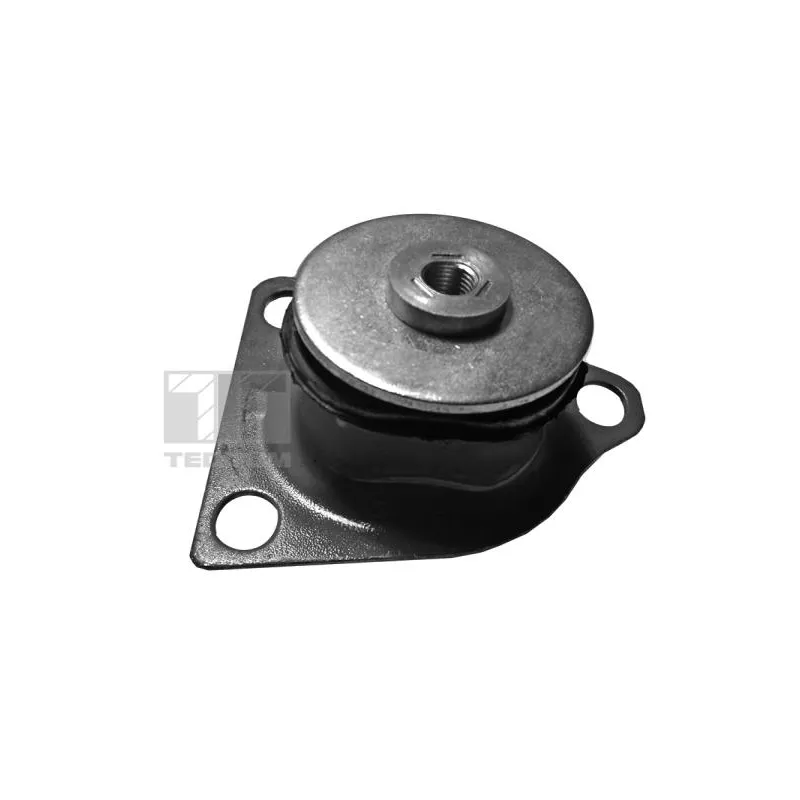 Suspension, corps de l'essieu avant droit TEDGUM 00059502
