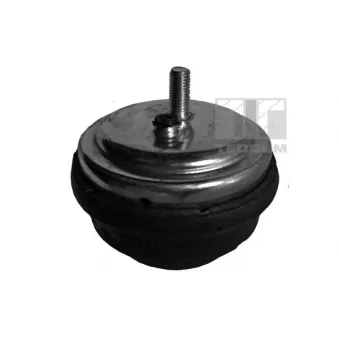 Support moteur TEDGUM 00080395