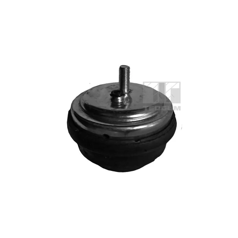 Support moteur TEDGUM 00080395