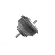 Support moteur TEDGUM 00083444 - Visuel 2
