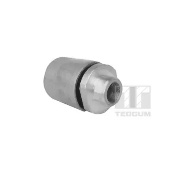 Suspension, amortisseur TEDGUM 00088272
