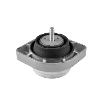 Support moteur avant gauche TEDGUM 00088434
