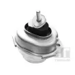 Support moteur avant gauche TEDGUM 00088466 - Visuel 1