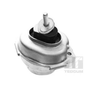 Support moteur avant gauche TEDGUM 00088466