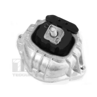 Support moteur TEDGUM 00088490
