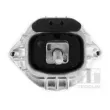 Support moteur TEDGUM 00088490 - Visuel 2
