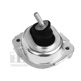 Support moteur avant droit TEDGUM 00088531
