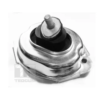 Support moteur avant gauche TEDGUM 00088534