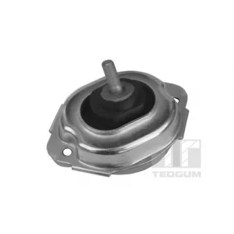 Support moteur avant gauche TEDGUM 00088547