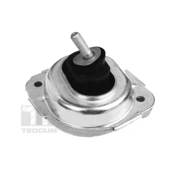 Support moteur avant droit TEDGUM
