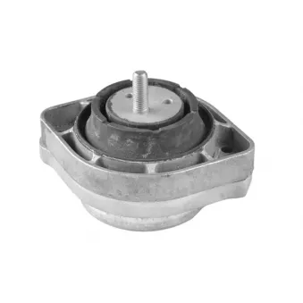 Support moteur avant gauche TEDGUM