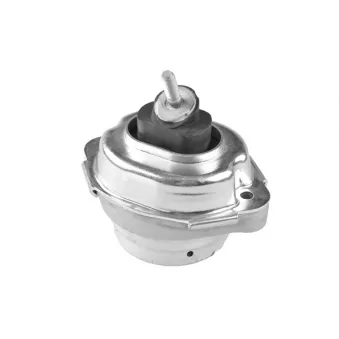 Support moteur avant droit TEDGUM