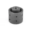 Suspension, Différentiel TEDGUM 00089059 - Visuel 1