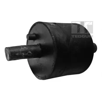 Support moteur TEDGUM 00089175