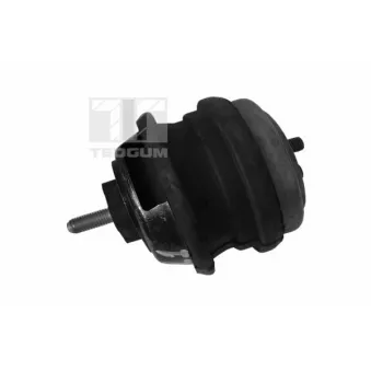 Support moteur avant droit TEDGUM