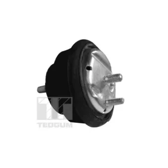 Support moteur avant gauche TEDGUM 00089778