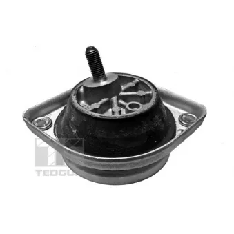 Support moteur avant droit TEDGUM 00089801