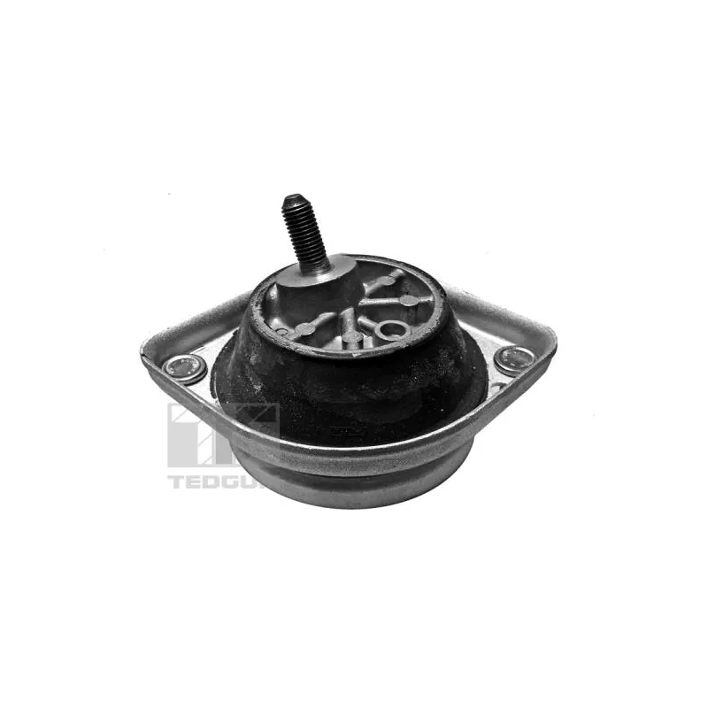 Support moteur avant droit TEDGUM 00089801