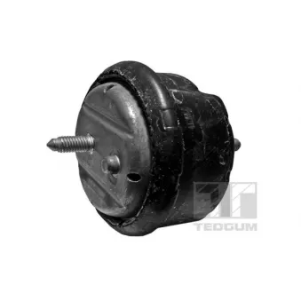 Support moteur TEDGUM 00089803