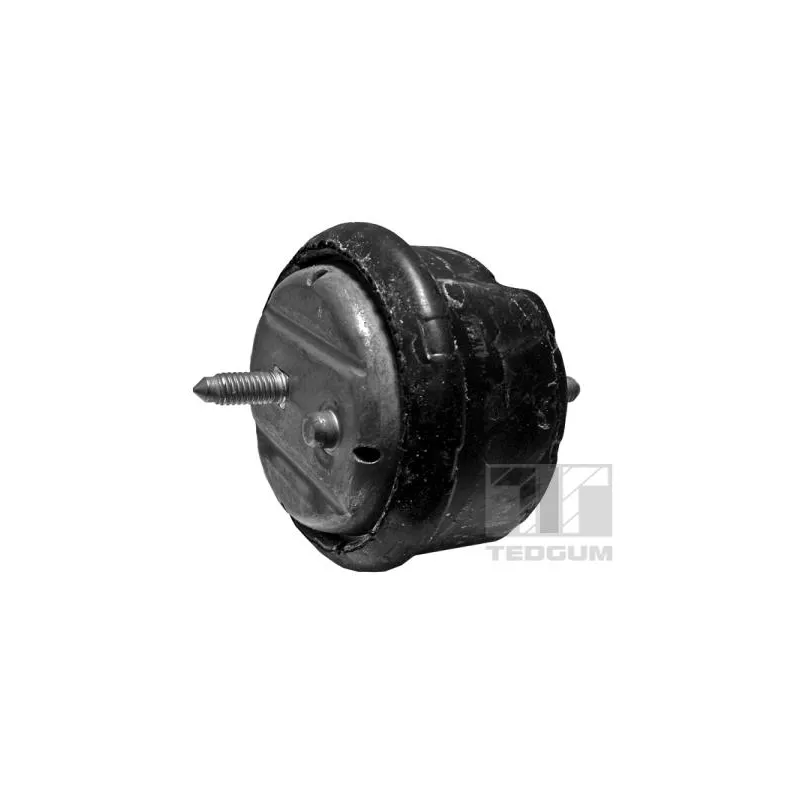 Support moteur TEDGUM 00089803