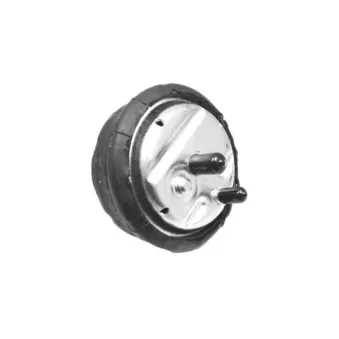 Support moteur avant droit TEDGUM 00089808