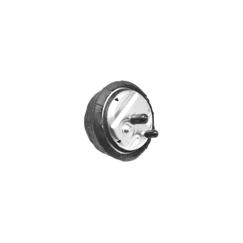Support moteur avant droit TEDGUM 00089808