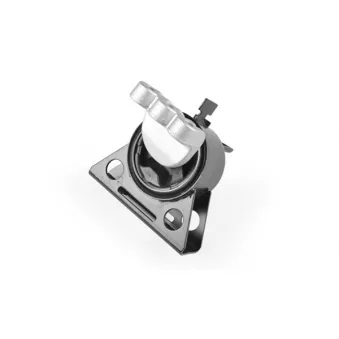 Support moteur avant droit TEDGUM