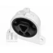 Support moteur TEDGUM 00138479 - Visuel 1