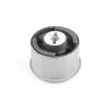 Suspension, corps de l'essieu TEDGUM 00139236 - Visuel 1
