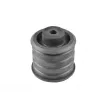 Suspension, corps de l'essieu TEDGUM 00145434 - Visuel 1