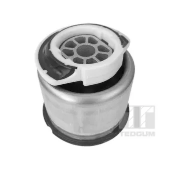 Suspension, corps de l'essieu TEDGUM 00146849