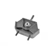 Support moteur TEDGUM 00161278 - Visuel 1