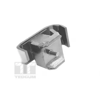 Support moteur TEDGUM 00171869