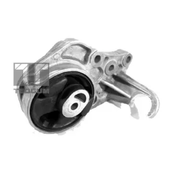 Support moteur TEDGUM 00190434