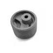 Support moteur TEDGUM 00190523 - Visuel 1