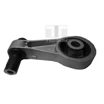 Support moteur TEDGUM 00211319