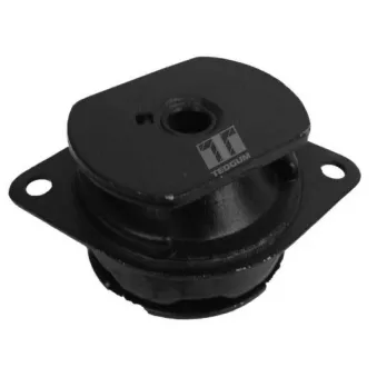 Suspension, boîte automatique TEDGUM 00212974