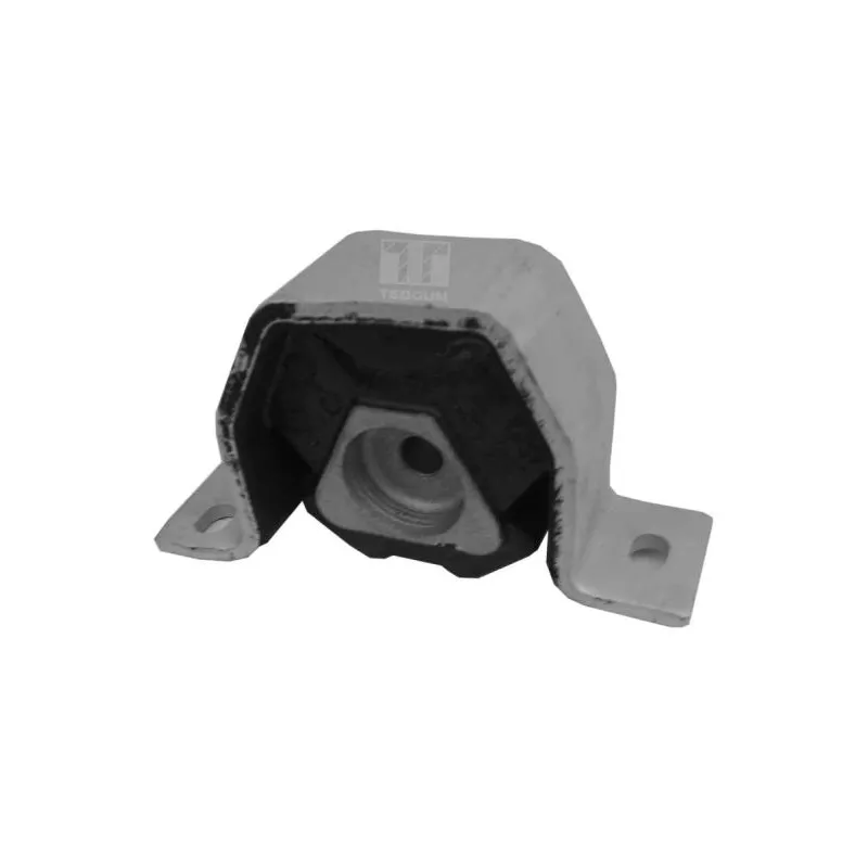 Support moteur avant gauche TEDGUM 00212975