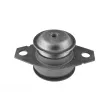 Support moteur avant gauche TEDGUM 00213221 - Visuel 1