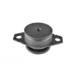 Support moteur avant gauche TEDGUM 00213221 - Visuel 2