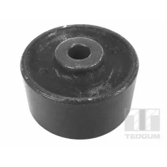 Support moteur TEDGUM 00214375