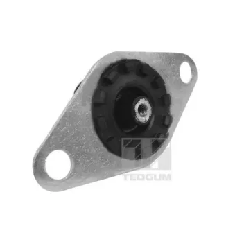 Support moteur TEDGUM