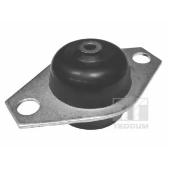 Support moteur TEDGUM 00215059
